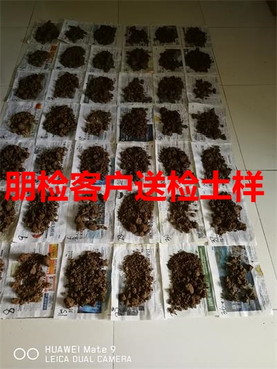 送检土样实拍 送检土样实拍